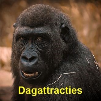 Dagattracties in Parkstad Limburg